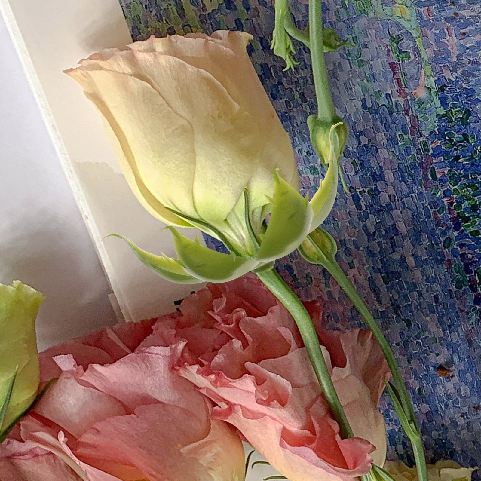 50個入り 人工バラの花弁（プラスチック製） DIY石鹸作り - Soap Making Ins のレビューと価格